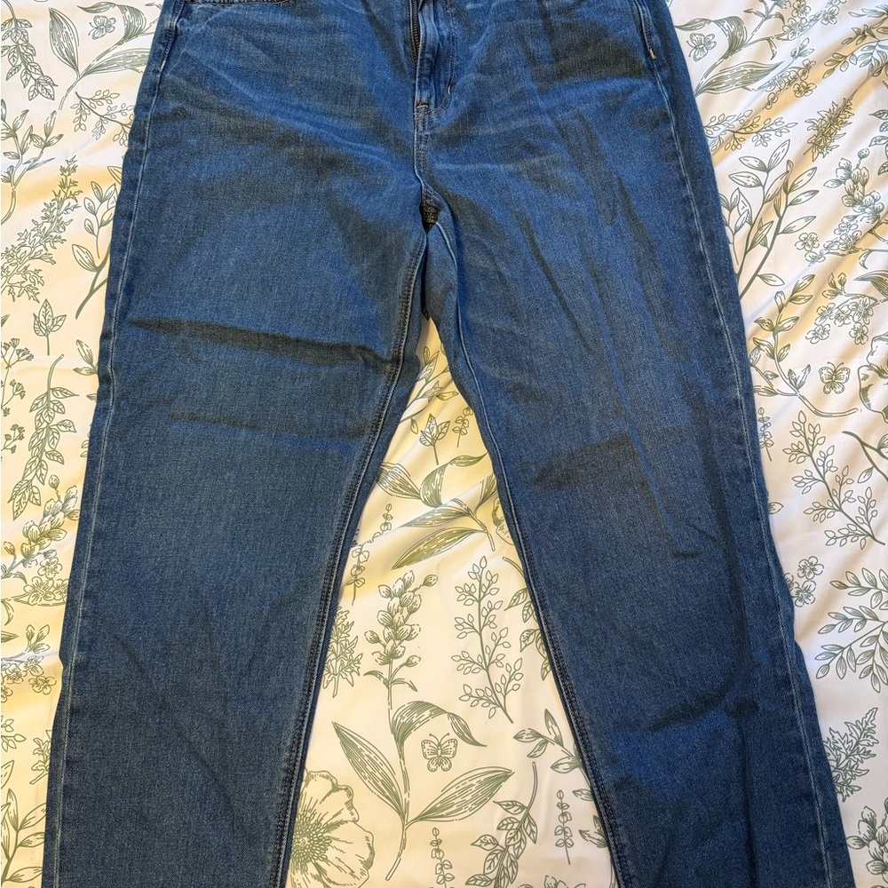 American Eagle Mom Jeans 14 Regular
